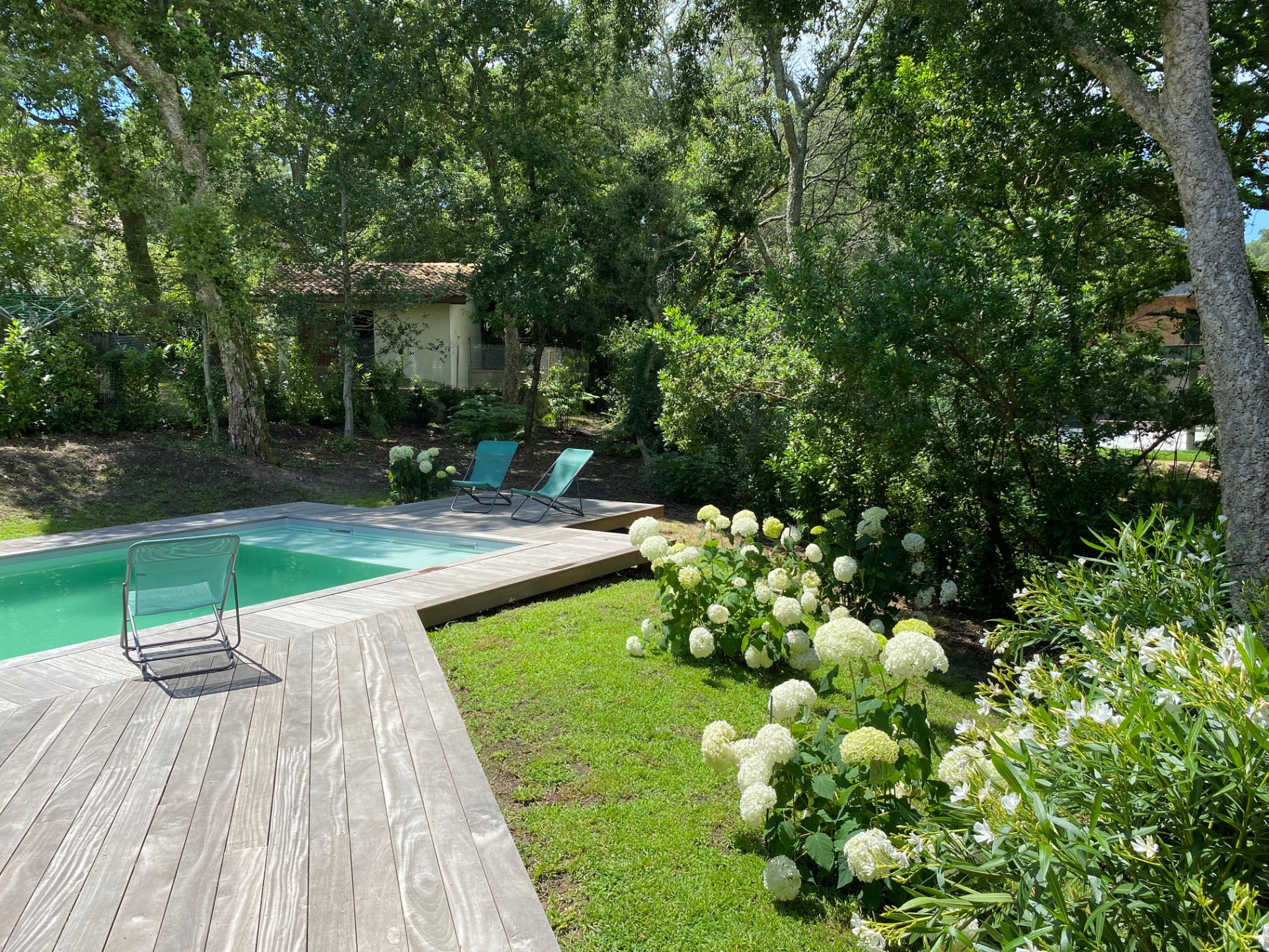 La piscine et le jardin fleuri